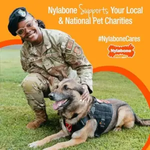 Nylabone Brinquedo de Mastigar Bacon Cheeseburger Médio