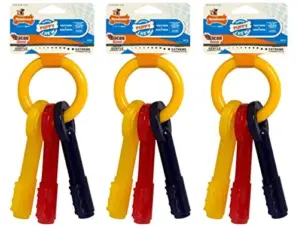 Nylabone Brinquedo Mastigável Médio para Cachorros