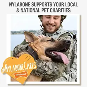 Nylabone Brinquedo Mastigável Small Sabor Cheeseburguer e Maçã