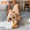 Nylabone Osso Snack Sabor Bife com Queijo Small