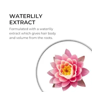 Phyto Volume Shampoo Multicolor 250ml