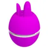 Pretty Love Gemini Vibrador de Silicone Redondo Roxo