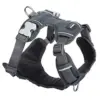 Red Dingo Trelas e Peitorais Arnês Acolchoado Cinza XL