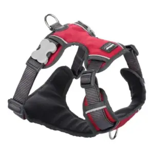 Red Dingo Trelas e Peitorais Arnês Padded Red XL