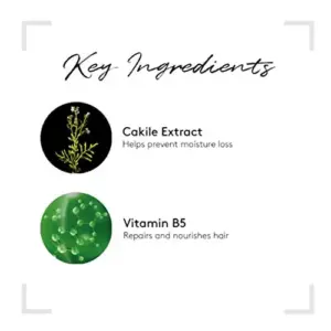 René Furterer Style Laca Fixação Forte 300ml