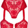 Obsessive Belovya Garter Panties XS/S