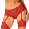Obsessive Belovya Garter Panties XS/S