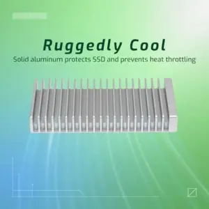 OWC SSD 1TB USB4 40Gb/s Preto