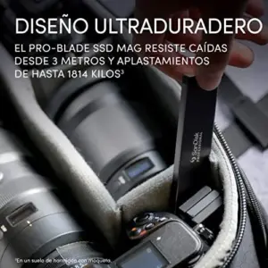 SanDisk Corpoblade Compartimento SSD 1To Preto