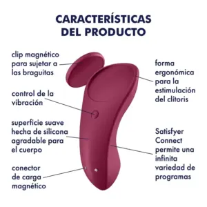Satisfyer Sexy Secret Panty Rosa