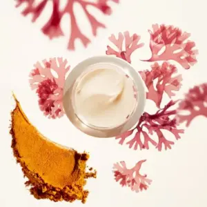 Shiseido Benefiance Wrinkle Smoothing Creme de Dia Anti-rugas SPF25 50ml