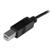 Startech USB-C para USB B Adaptador 1m Preto