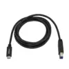 Startech USB C a USB B Cabo 2m Preto