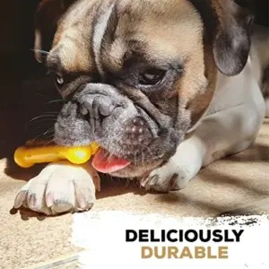 Tasty Bone Brinquedo Osso Comestível