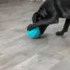 Trixie Bola para Snacks em Borracha para Cães 14 cm