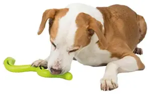Trixie Brinquedo Cão Snacky Snake Borracha Com Som