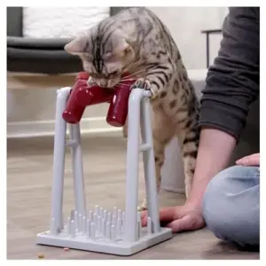 Trixie Brinquedo Gato Jogo de Atividade Brain Mover