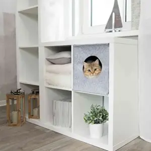 Trixie Cama Anton – 16259