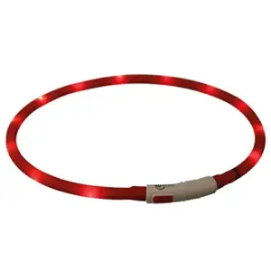 Trixie Coleira Flasher USB Vermelho 70cm