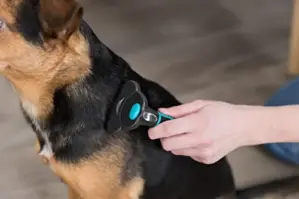 Trixie Disco para Limpeza de Olhos 100un