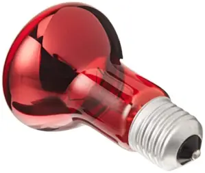 Trixie Lâmpada de Aquecimento Infrared 75W Vermelha