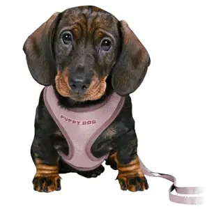 Trixie Peitoral com Trela Soft para Cachorro Junior (lilás)