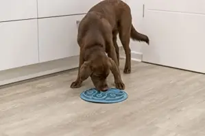 Trixie Tabuleiro de Alimentação Slow Feed Macio