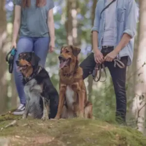 Trixie Trela de Trabalho Preto M