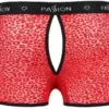 Passion Short Homme Parker Vermelho L/XL