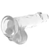 XRay Dildo Jelly 15,5CM Realista
