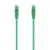Aisens A145-0577 Cabo de Rede 25cm Verde