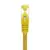 Aisens A146-0473 Cabo de Rede Cat7 50cm Amarelo