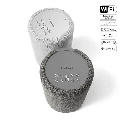 Audio Pro A10 MKII WiFi Bluetooth Cinzento Escuro
