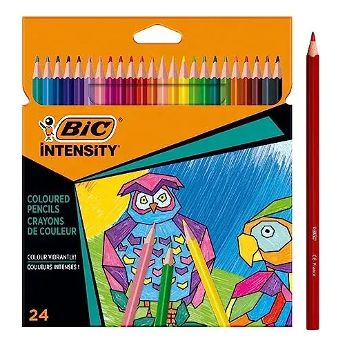 Bic Lápis de Cor Triangle 24 cores 18cm