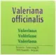 Biover Valeriana Equilíbrio Espiritual 50ml