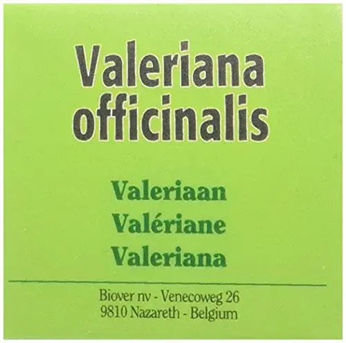 Biover Valeriana Equilíbrio Espiritual 50ml