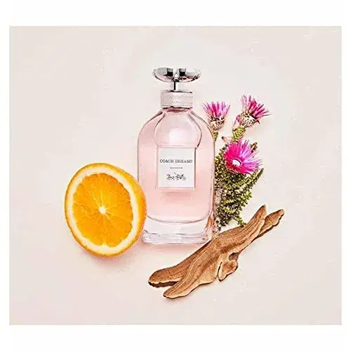 Coach Dream Woman Eau de Parfum 90ml