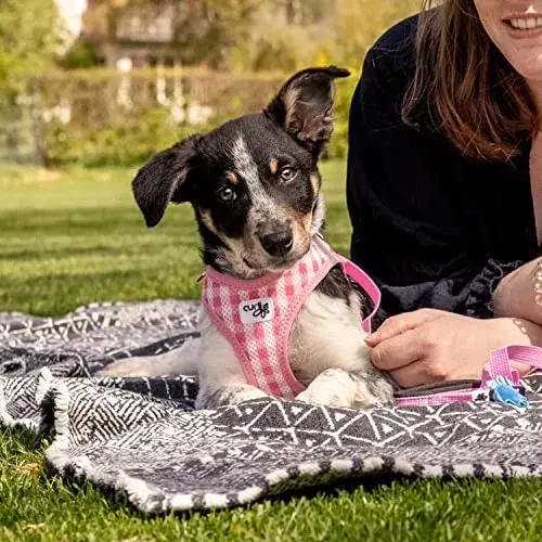 Curli Clasp Air Mesh Kit Peitoral + Trela Puppy Rosa Peitoral M + Trela L (7640455191392)