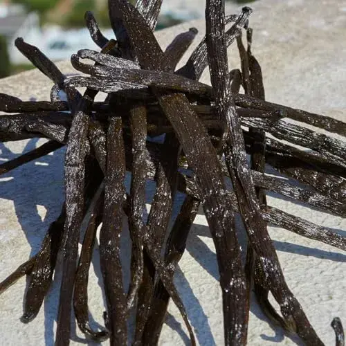 Dolce & Gabbana Devotion Woman Eau de Parfum 100ml Ámbar e Baunilha