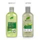 Dr. Organic Bio Aloe Shampoo 265ml