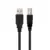 Ewent Cabo USB 2.0 Type-A Macho para USB Type-B Macho 1,8m Preto