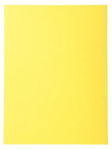 Exacompta Classificador A4 300 páginas Amarelo