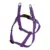 Gloria Arnês para Cães Liso Ajustável Roxo 35-51cm