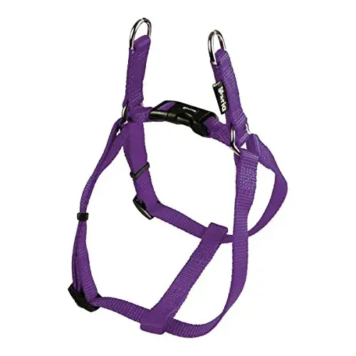 Gloria Arnês para Cães Liso Ajustável Roxo 35-51cm