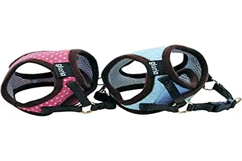 Gloria Pets Trela Pontos XS Verde