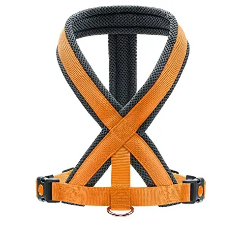 Hunter Arnês London Comfort Laranja 73-100 cm Tamanho L