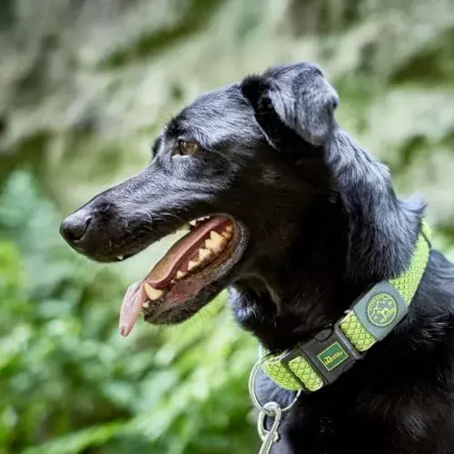 Hunter Coleira Alce Vario Plus Verde 45-70 cm