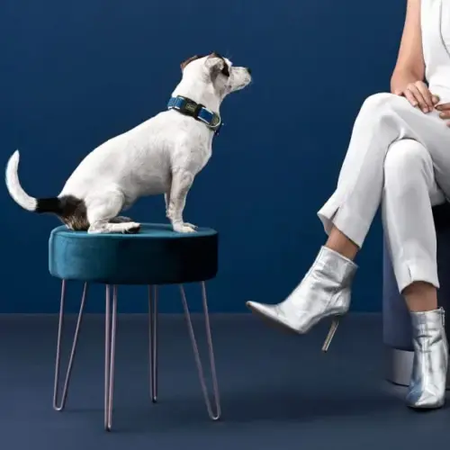 Hunter Coleira Vario Basic Rosca Rosada 33-50 cm