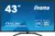 iiyama Prolite 43″ UHD 4K Monitor