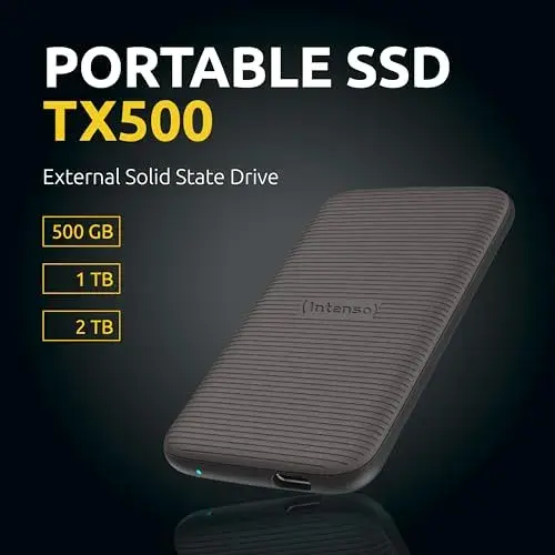 Intenso TX100 1TB USB-C Castanho